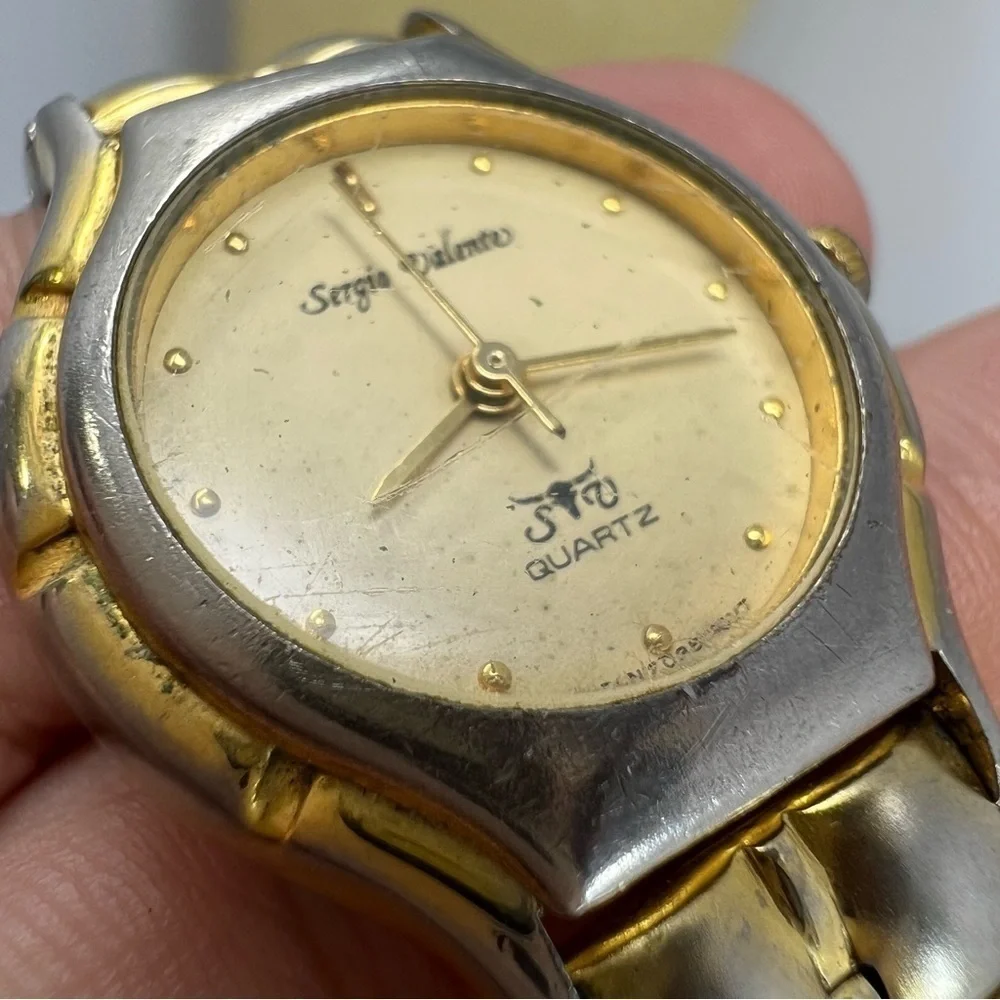 Sergio Valente watch